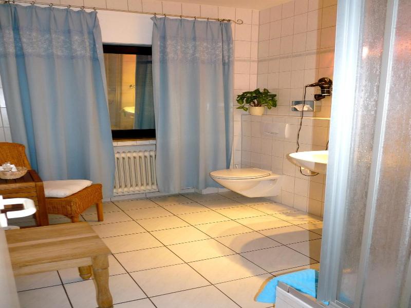 Hotel Geissler image