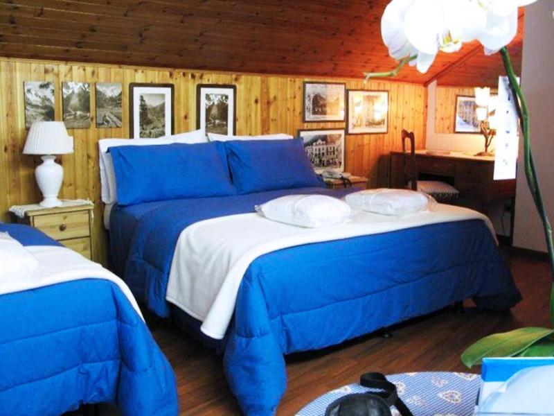 Hotel Bucaneve image