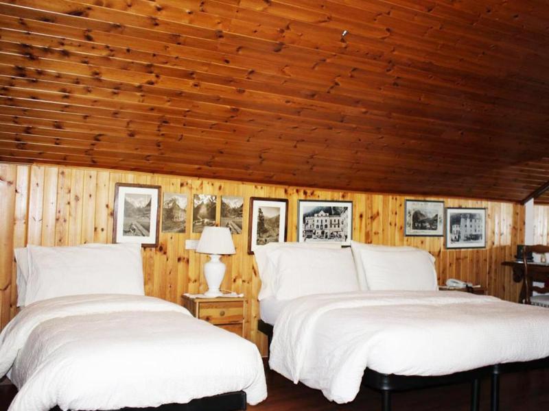 Hotel Bucaneve image