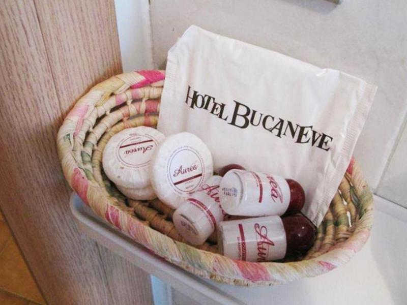 Hotel Bucaneve image