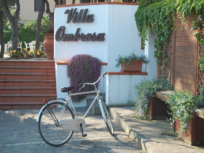Hotel Villa Ombrosa image