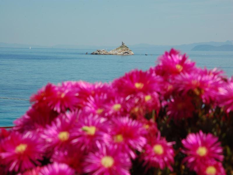 Hotel Villa Ombrosa image