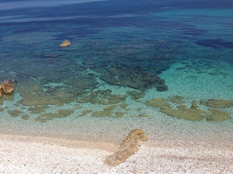 Hotel Villa Ombrosa image