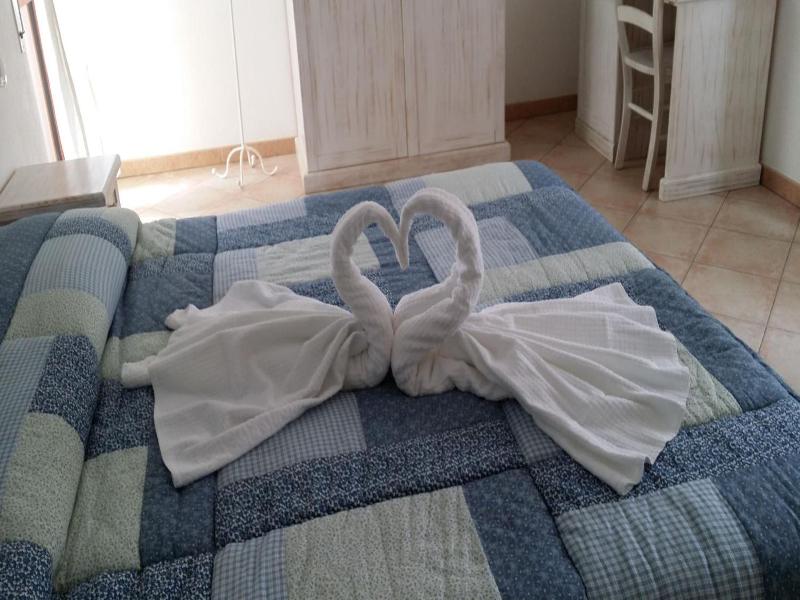 Hotel Tabby image