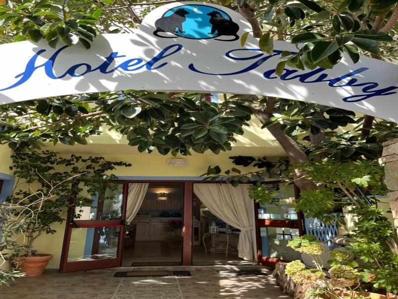 Hotel Tabby image