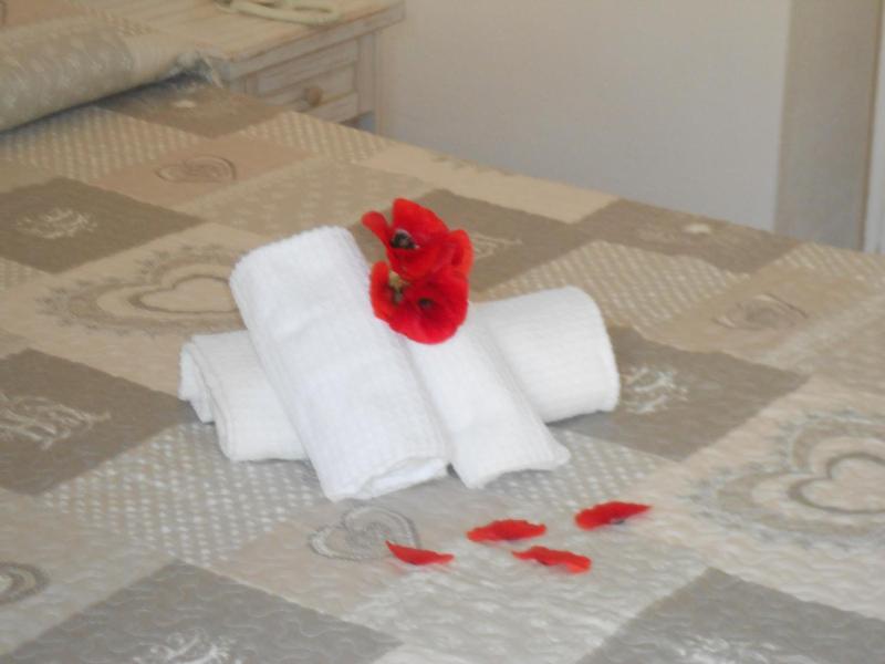 Hotel Tabby image
