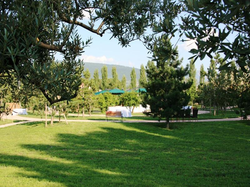 Delfina Palace Hotel image