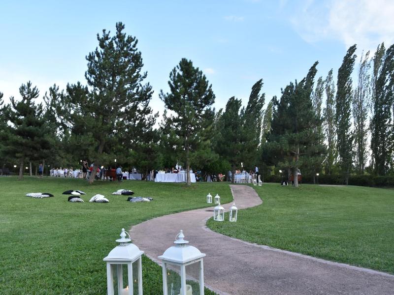 Delfina Palace Hotel image
