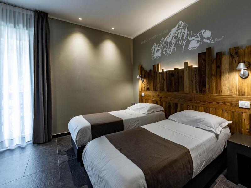 Monte Emilius image