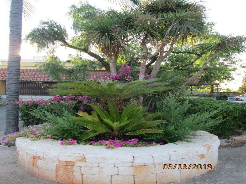 Hotel Tropical image