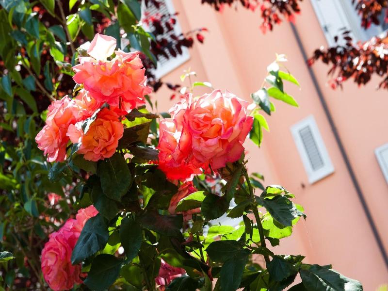 Hotel La Toscana image
