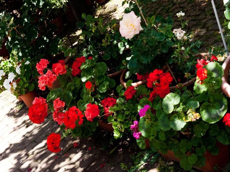 Hotel La Toscana image