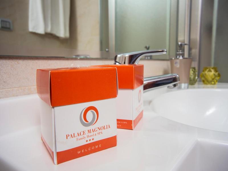 Hotel Palace Magnolia Spa image