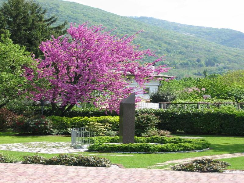 Hotel Da Si-si image
