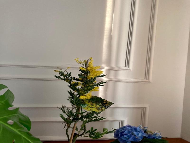 Hotel Livio image