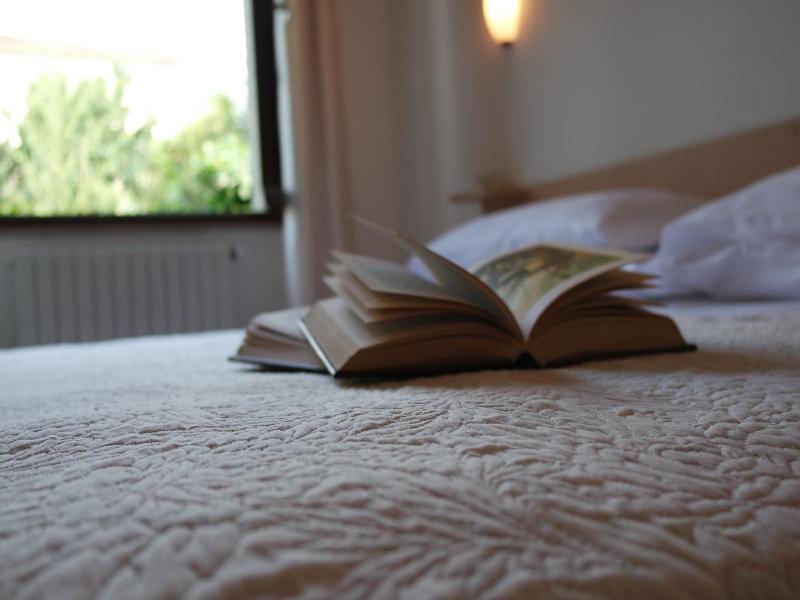 Hotel Livio image