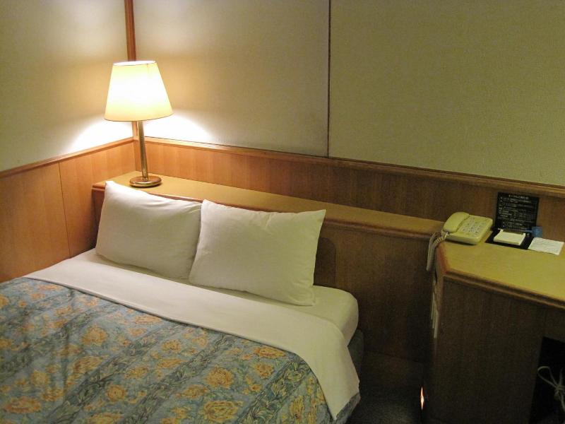 Hyuga Dai-ichi Hotel image