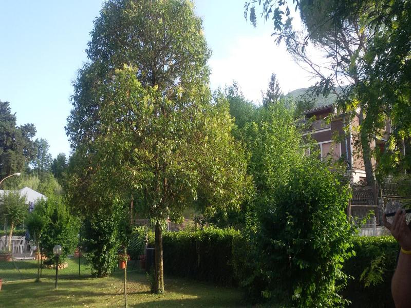 Hotel Le Vigne image