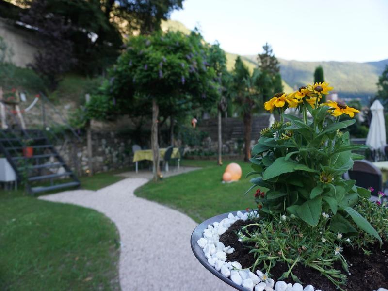 Guesthouse Dolomiten image