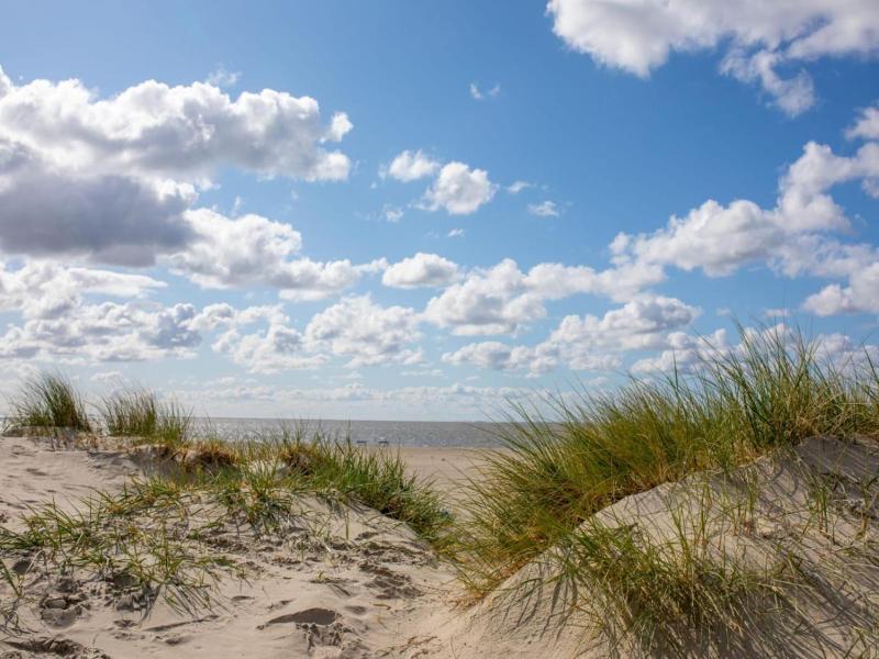 Hotel Pension Nordseewelle image