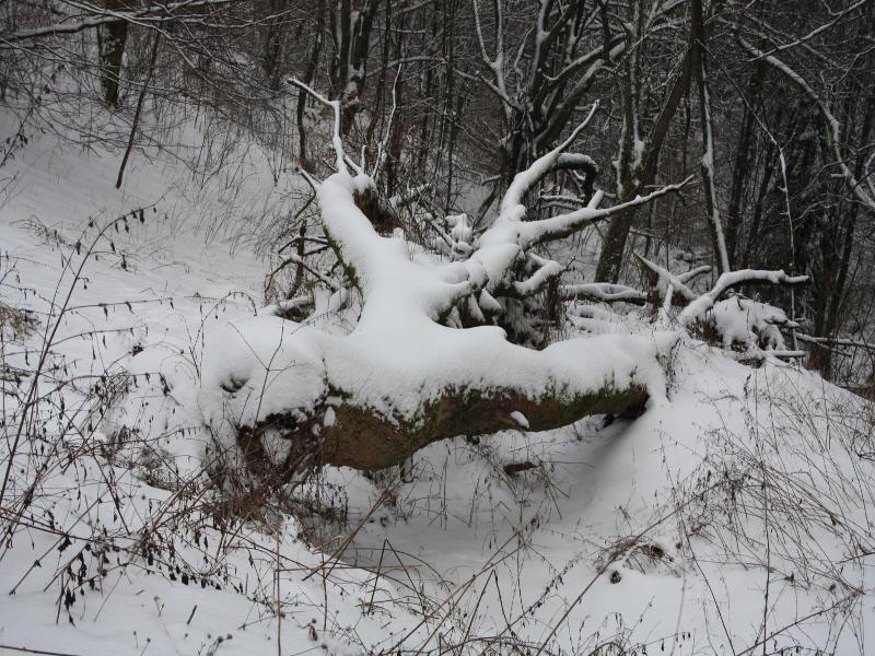 Ferienpark Winterberg image
