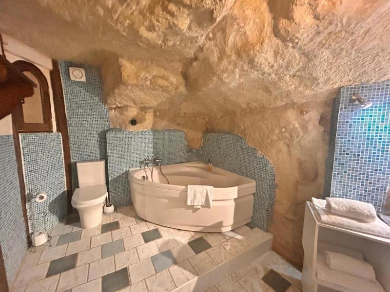 Logis Demeure De La Vignole image