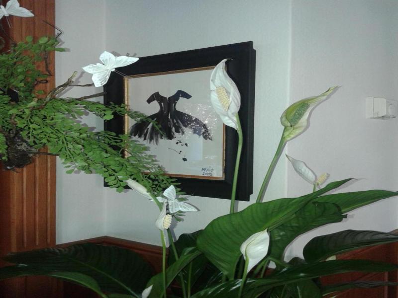 Balneum Boutique Hotel & B&b image