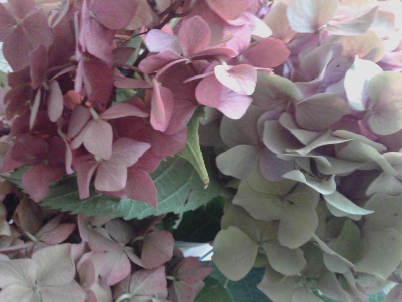 Balneum Boutique Hotel & B&b image