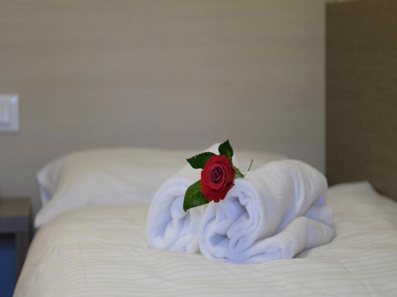Hotel Gelmini image