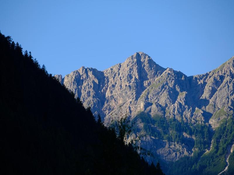 Frida Am Wald image