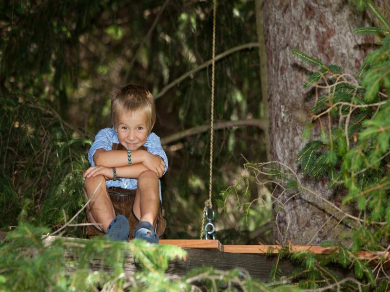 Frida Am Wald image