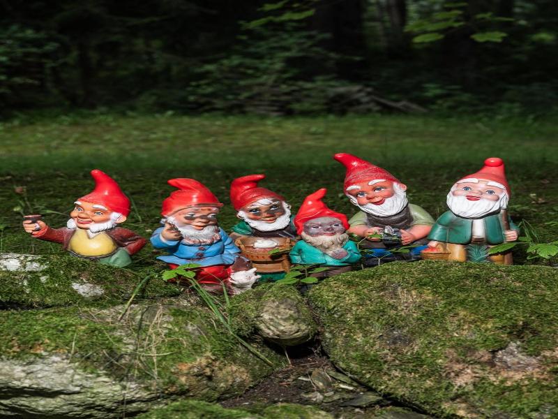 Frida Am Wald image