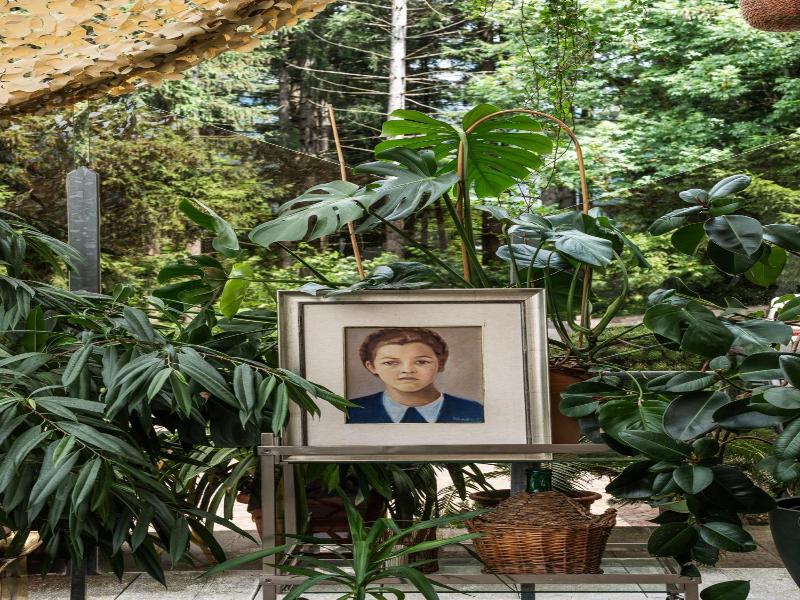 Frida Am Wald image
