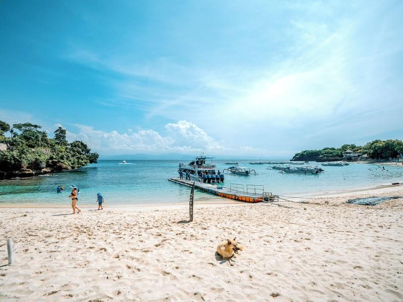 The Tanis Villas & Hotel Lembongan image