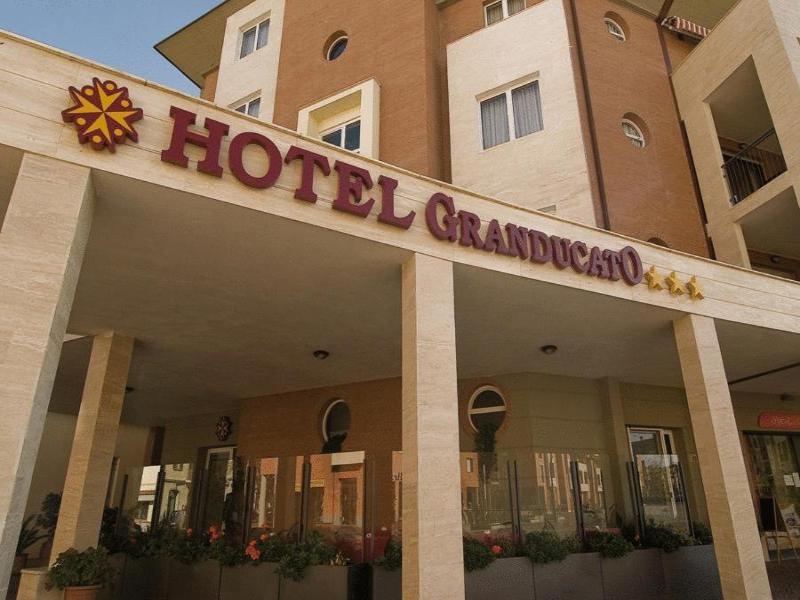 Hotel Granducato image
