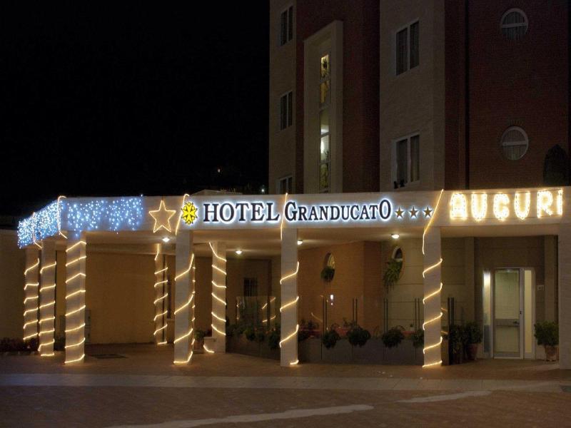 Hotel Granducato image