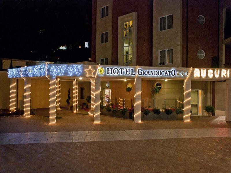 Hotel Granducato image