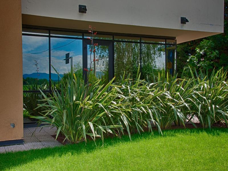 Albergo Papillon image