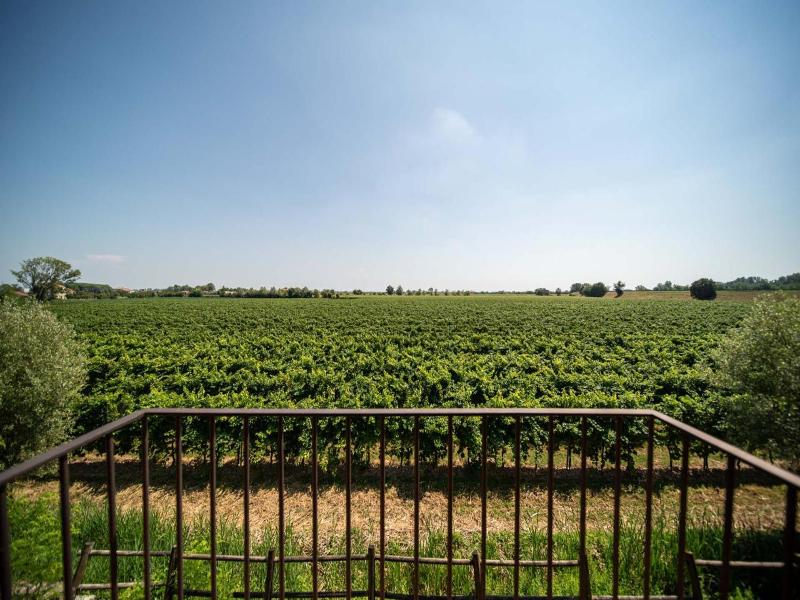 Borgo Ronchetto image