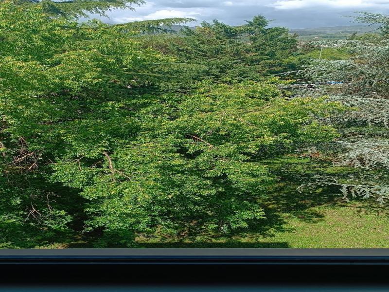 Park Hotel Galileo image