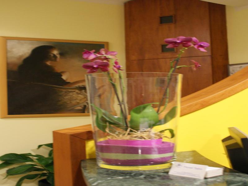 Hotel Sabo' image