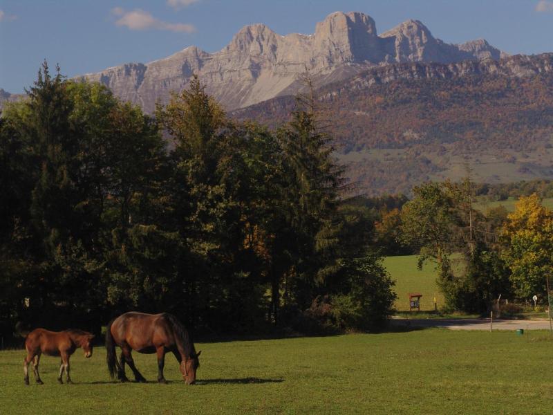 Au Sans Souci image