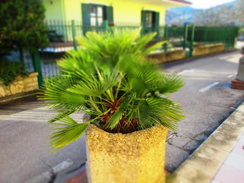 Hotel Rosso Di Sera image