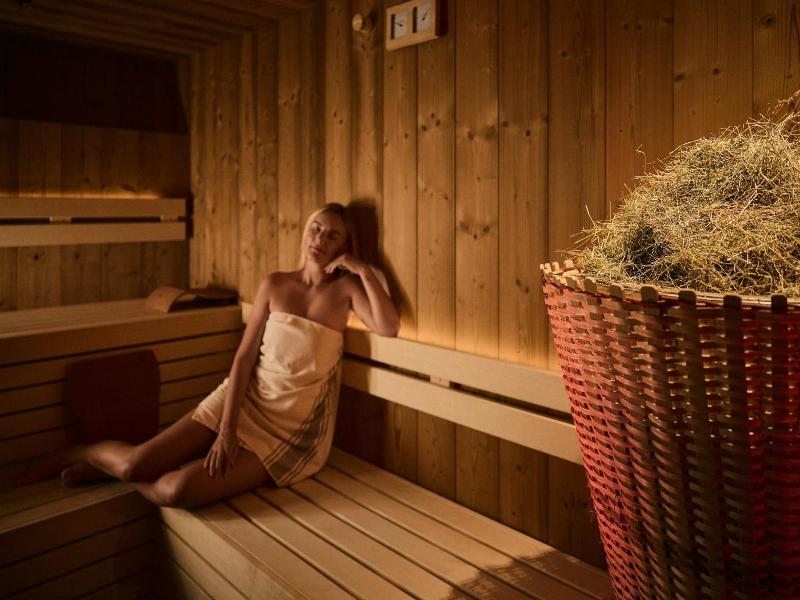 Dolomites Wellness Hotel Savoy image