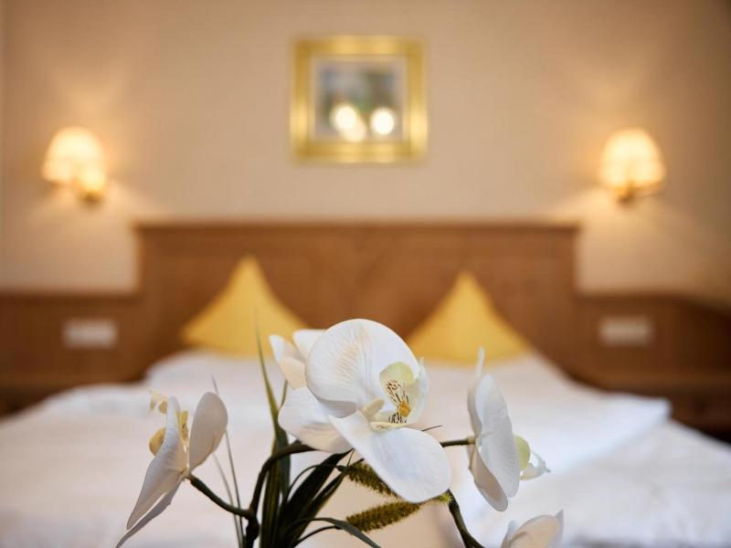 Dolomites Wellness Hotel Savoy image