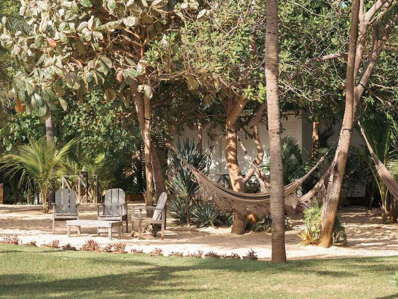 Muita Paz image