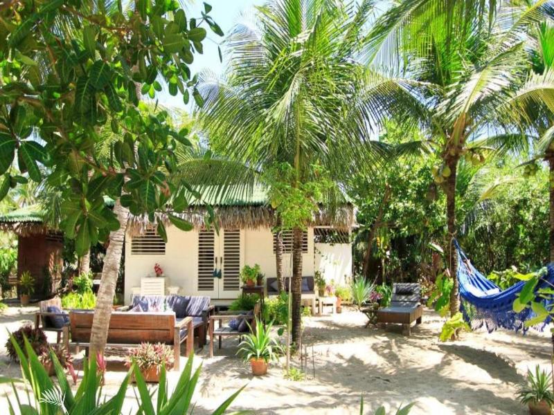 Muita Paz image