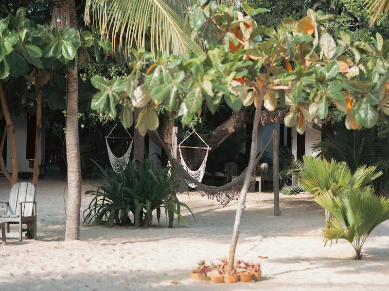 Muita Paz image