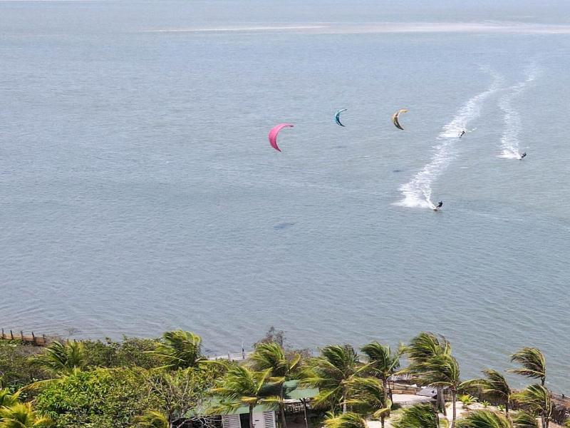Muita Paz image