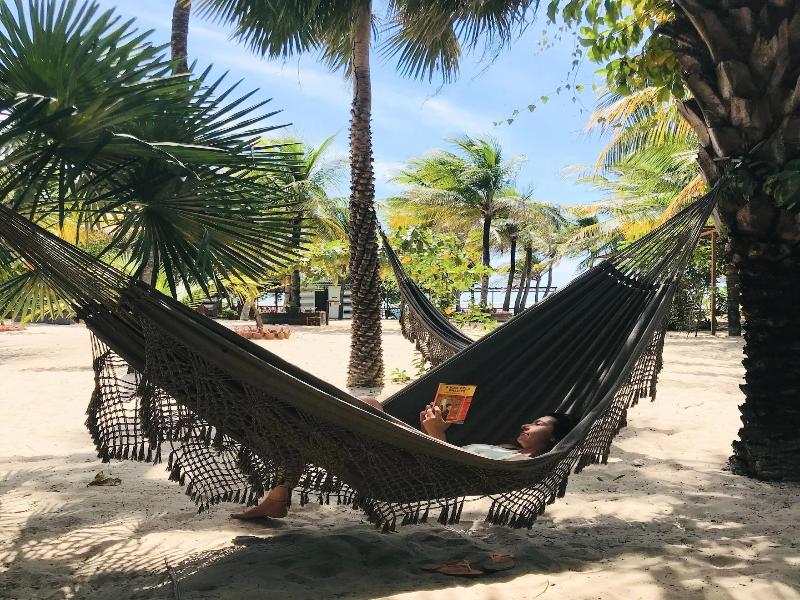 Muita Paz image